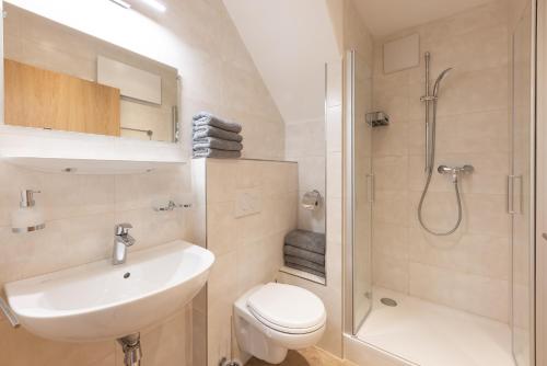 施图拜河谷新施蒂夫特Schlögler`s Apartmenthaus的一间带水槽、卫生间和淋浴的浴室