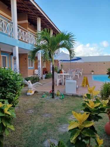 普拉亚弗朗西丝Torre do Sol的棕榈树和游泳池的后院