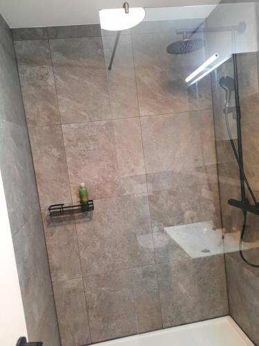 因斯布鲁克Apartment by Bruno的浴室里设有玻璃门淋浴