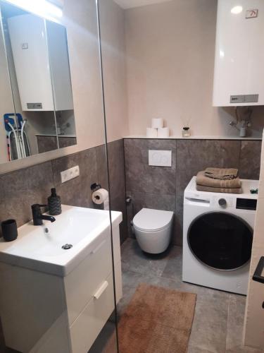 因斯布鲁克Apartment by Bruno的浴室配有卫生间、盥洗盆和洗衣机。