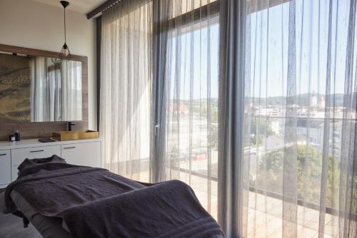 弗赖施塔特Impulshotel FREIGOLD的一间卧室设有美景大窗户