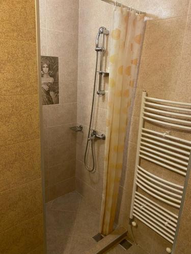 班斯科Iglika Bansko的浴室内配有淋浴帘。