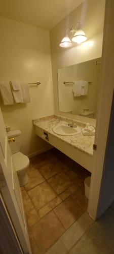 大福克斯Granby River Inn & Suites的一间带水槽、卫生间和镜子的浴室