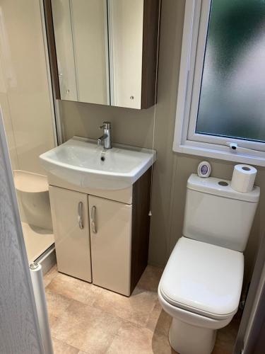 SeasalterStaycay Luxury Caravan的一间带卫生间、水槽和镜子的浴室