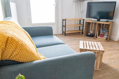 BouillarguesJoli nid douillet proche Nîmes的客厅配有蓝色的沙发和电视