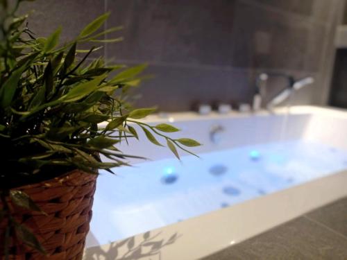 马格朗*Spacieux T3 Campagne proche lac*的浴缸旁的盆栽植物