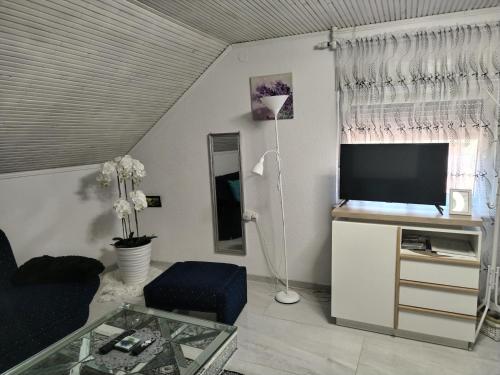 GarešnicaApartmani Jozić的客厅配有平面电视和沙发。