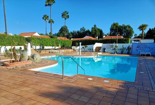大加那利岛拉斯帕尔马斯Bungalow en el sur de Gran Canaria的棕榈树度假村内的大型游泳池