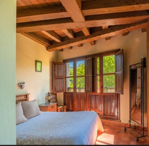 赫尔特Complejo Rural Las Palomas的一间卧室设有一张大床和窗户。