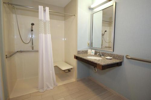 桑达斯基桑达斯基中央希尔顿恒庭酒店的一间带水槽、镜子和淋浴的浴室