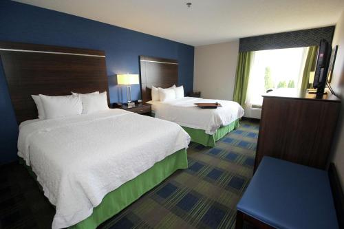 桑达斯基桑达斯基中央希尔顿恒庭酒店的酒店客房设有两张床和窗户。