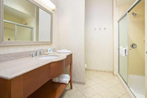 圣罗莎圣罗莎汉普顿酒店的一间带水槽、镜子和淋浴的浴室