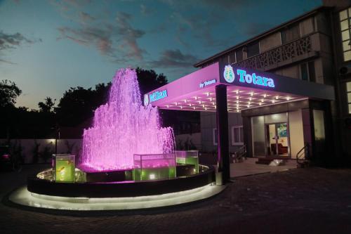 达累斯萨拉姆Hotel Totara的建筑物前的喷泉