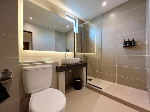 古晋The Borneo Hotel的一间带卫生间、水槽和镜子的浴室