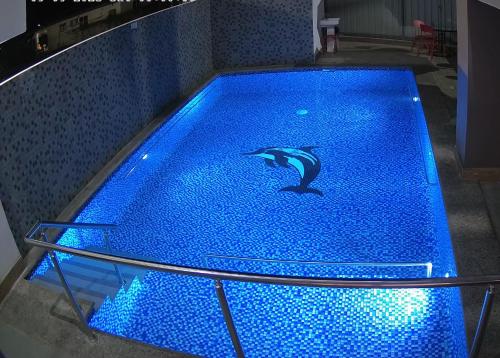 南迪Vualiku Hotel & Apartments的在蓝色灯光的游泳池游泳的海豚