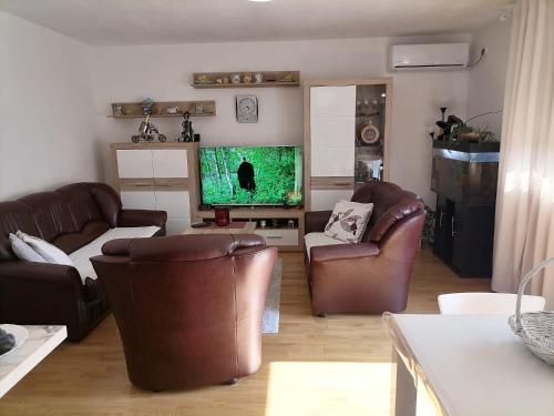 SurčinAirport Apartment的客厅配有皮革家具和大屏幕电视