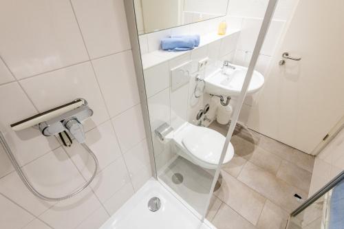 兰图姆Steger-Hüs Wohnung 38的带淋浴、卫生间和盥洗盆的浴室