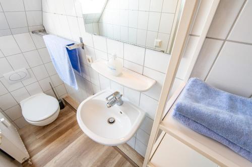 兰图姆Steger-Hüs Wohnung 26的一间带水槽和卫生间的小浴室