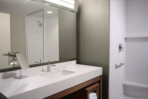本殖民地达拉斯普拉诺/克勒尼万怡酒店的一间带水槽和大镜子的浴室