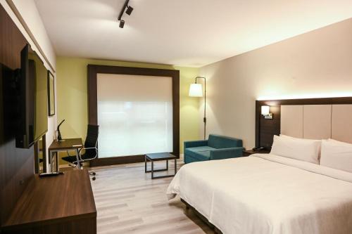 罗萨里奥罗萨里奥快捷假日酒店的配有一张床和一把椅子的酒店客房