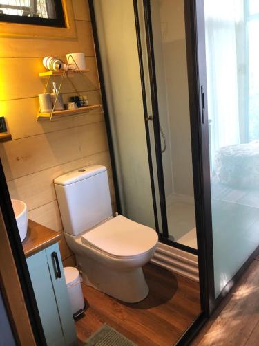 卡亚克Tiny house kayaköy kumquat的一间带卫生间和淋浴的小浴室