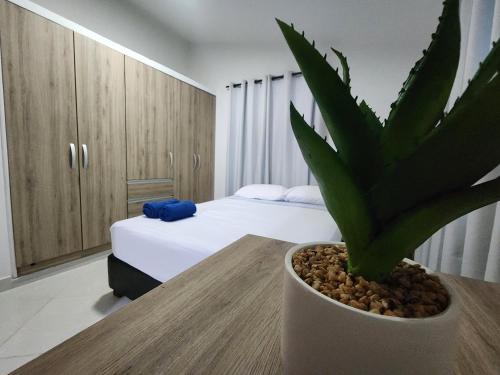 圣安德烈斯Apartamentos SurOeste的一间卧室,配有一张床和一张桌子上的盆栽植物