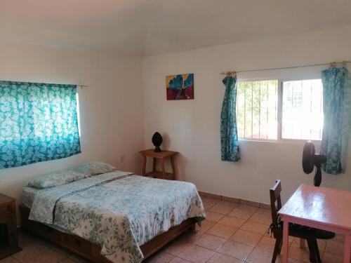 El CarmenCasa Las Animas的一间卧室配有一张床、一张书桌和两个窗户。