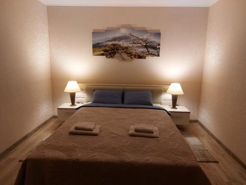 维萨吉纳斯Patogus poilsis prie ežero/Comfortable rest的一间卧室配有一张大床和两盏灯