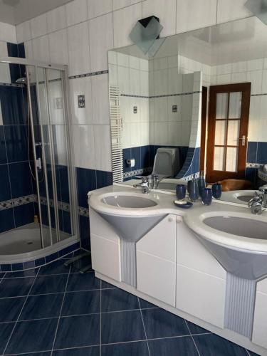 MoutierLa maison du petit bonheur的一间带两个盥洗盆和淋浴的浴室
