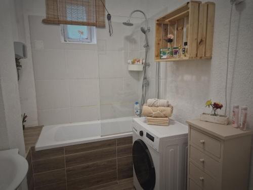 戈尔亚泰托Mountain Home - Galyatető的浴室配有洗衣机和浴缸。
