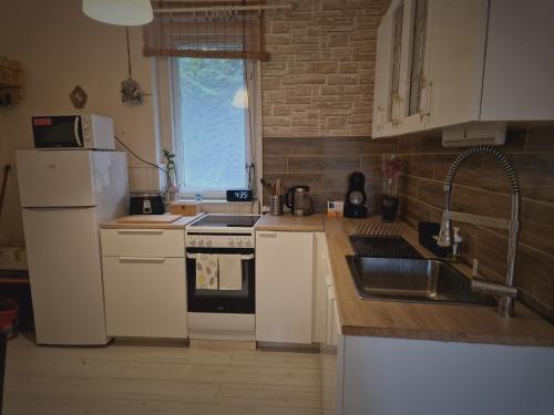 戈尔亚泰托Mountain Home - Galyatető的厨房配有白色冰箱和水槽