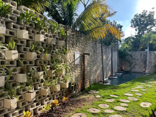 图卢姆BAU Tulum的墙上挂着盆栽植物的挡墙