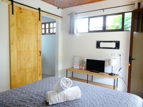 Santiago EsteAirport Green Studio的卧室配有床、电视和门