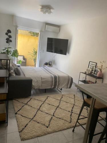 卡罗Bas de Villa détente的一间卧室配有一张床、一台电视和一张地毯。