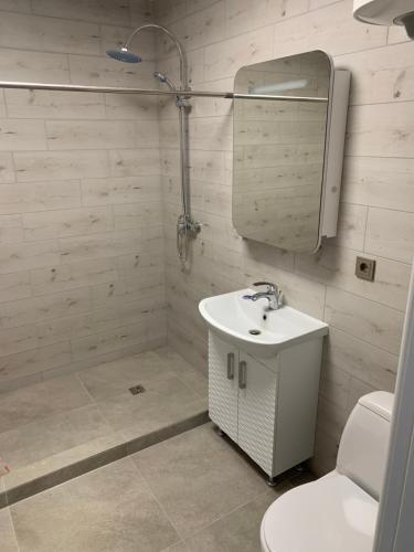 雷泽克内VILLA ROZA Guest House的一间带水槽、卫生间和镜子的浴室