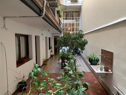 布宜诺斯艾利斯Derby Home Hotel的建筑中种有盆栽植物的室内庭院