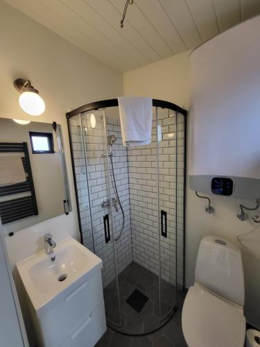 教堂城Landbrot Guesthouse的带淋浴、盥洗盆和卫生间的浴室
