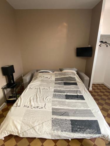 Beaumont-sur-VesleStudio au coeur des vignes的一张床上的毯子,放在房间里