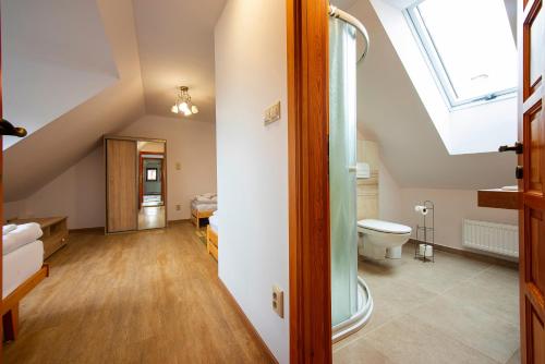 MengusovceGuest House Mengsdorf的阁楼浴室设有卫生间和天窗。