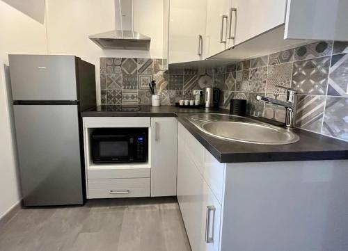 安锡Appartement centre-ville Annecy的厨房配有水槽和冰箱