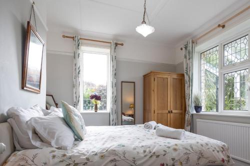 巴恩斯特珀尔2 bed rural retreat set on the edge of Exmoor的一间卧室设有一张床和两个窗户。