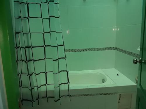 莫约班巴D202的带浴缸和淋浴帘的浴室