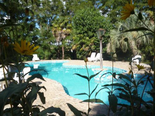 本塔纳山村阿利胡恩酒店的一个带白色椅子和树木的游泳池
