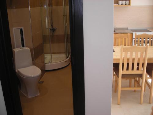 波罗维茨Iglika 2 - Studio Cabin的一间带卫生间和餐桌的浴室