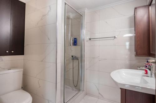 克桑西Διαμέρισμα με αυλή στη Μέλισσα的带淋浴、卫生间和盥洗盆的浴室