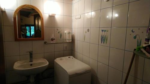 Stone cottage的一间带水槽、卫生间和镜子的浴室