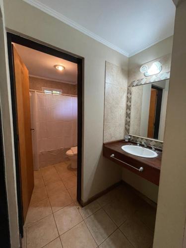 拉巴斯don isidro cabaña alta的一间带水槽、卫生间和镜子的浴室