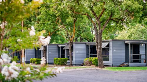 阿德莱德Adelaide Caravan Park - Aspen Holiday Parks的前面一排种有树木的单元房屋