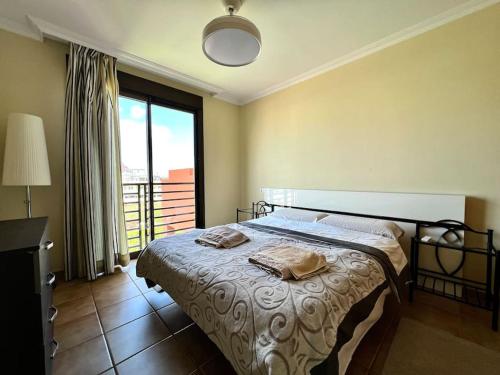 格拉纳迪利亚德亚沃纳Апартамент с 1 спальней в La Tejita (El Medano)的一间卧室设有一张床和一个大窗户