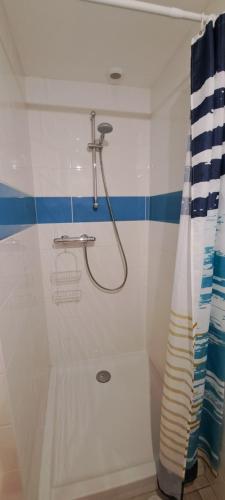 Saint-AignanCouloumine breizh的带淋浴和浴帘的浴室